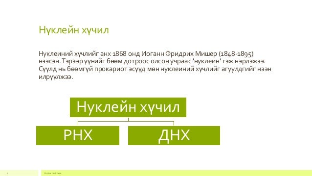 эсийн шим бодисууд