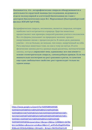 Оказывается, что логарифмические спирали обнаруживаются в
деятельности сердечной мышцы (исследования, ведущиеся в
отделе молекулярной и клеточной биомеханики во главе с
доктором биологических наук В.С. Мархасиным (Екатеринбургский
филиал ИЭГиМ УрО РАН).
Логарифмическая спираль, несомненно, является спиралью, которая
наиболее часто встречается в природе. Царство животных
предоставляет нам примеры спиралей раковин улиток и моллюсков.
Все эти формы указывают на природное явление: процесс
накручивания связан с процессом роста. В самом деле, раковина
улитки – это не больше, не меньше, чем конус, накрученный на себя.
Рога жвачных животных тоже, но они к тому же витые. И хотя
физические законы роста у разных видов различны, математические
законы, которые управляют ими, одинаковы: все они имеют в
основе геометрическую спираль, самоподобную кривую. Если мы
внимательно посмотрим на рост раковин и рогов, то заметим
еще одно любопытное свойство: рост происходит только на
одном конце.
https://www.google.ru/search?q=%D0%BB%D0%BE
%D0%B3%D0%B0%D1%80%D0%B8%D1%84%D0%BC
%D0%B8%D1%87%D0%B5%D1%81%D0%BA%D0%B0%D1%8F+
%D1%81%D0%BF%D0%B8%D1%80%D0%B0%D0%BB%D1%8C+
%D0%B2+%D0%BF%D1%80%D0%B8%D1%80%D0%BE
%D0%B4%D0%B5&newwindow=1&espv=2&biw=1280&bih=667&t
bm=isch&tbo=u&source=univ&sa=X&ei=cT_wVPufLcOlygOOz4Gw
BQ&ved=0CBsQsAQ&dpr=1#imgdii=_&imgrc=NkII9JsO5ghCsM
 
