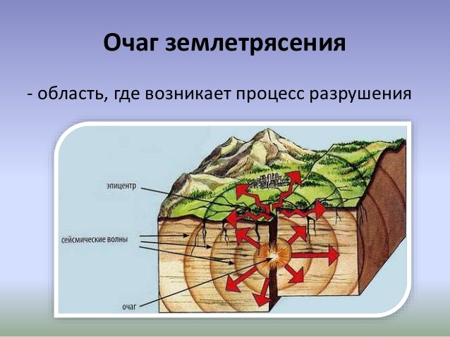 Структура землетрясения