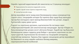 Нарийн гэдэсний хөдөлгөөний үйл ажиллагаа нь 3 түвшинд хянагддаг:
 Парасимпатик ба симпатик мэдрэлийн систем,
 нарийн гэдсийг хянах тархины мэдрэлийн эсүүд,
 гөлгөр булчингийн эсүүд.
Дотор муухайрах эмгэг жамд хоол боловсруулах замын хеморецептор
сэдээгч хэсэг, тэнцвэрийн аппарат ба тархины бор гадар бүгд оролцдог.
Эдгээр бүх хэсгүүдээс сэрэл ирэхэд бөөлжилтийн төв цочирч, мэдрэл
булчингийн хариу урвал үүснэ.
Сэдээлт нь серотонин допамин, ацетилхолин ба гистамин зэрэг
нейротрансмиттерийн үйл ажиллагаагаар нөхцөлддөг. Эдгээр 4 бодис нь
бүгд хеморецептор цочрох хэсэгт үйлчилж болдог. Хэдийгээр тэд бүгд хоол
боловсруулах замын гадаргуу дээр байдаг ч эдгээрээс серотонин нь нэн
чухал үүрэгтэй. Ацетилхолин ба гистамин нь тэнцвэрийн аппаратад
илүүтэйгээр нөлөөлнө. Тархины бор гадраас нөхцөлдсөн дотор муухайралт
ба бөөлжилт нь илүү нарийн нийлмэл бөгөөд өвөрмөц
неротрансмиттертэй холбоогүй.
 