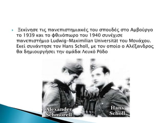  Ξεκίνησε τις πανεπιστημιακές του σπουδές στο Αμβούργο
το 1939 και το φθινόπωρο του 1940 συνέχισε
πανεπιστήμιο Ludwig-Maximilian Universität του Μονάχου.
Εκεί συνάντησε τον Hans Scholl, με τον οποίο ο Αλέξανδρος
θα δημιουργήσει την ομάδα Λευκό Ρόδο
 
