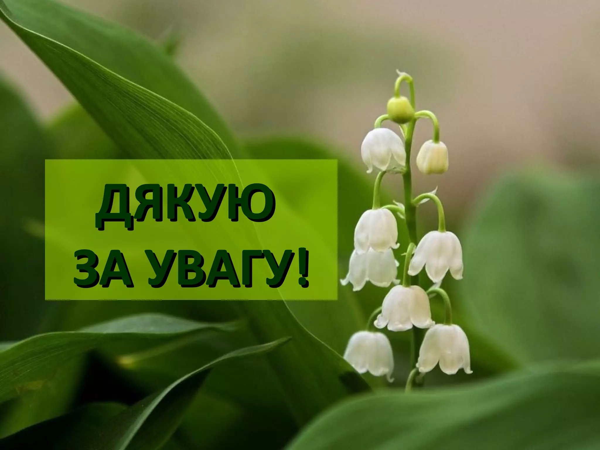 ДЯКУЮДЯКУЮ
ЗА УВАГУ!ЗА УВАГУ!
 