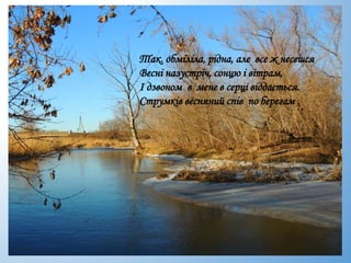 Так. обміліла, рідна, але все ж несешся
Весні назустріч, сонцю і вітрам,
І дзвоном в мене в серці віддається.
Струмків весняний спів по берегам .
 