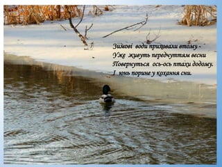 Зимові води приховали втому -
Уже живуть передчуттям весни
Повернуться ось-ось птахи додому.
І юнь порине у кохання сни.
 