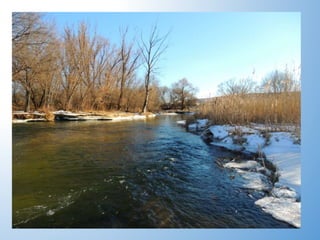 Фотоконкурс"В об`єктиві натураліста". Ода рідній річці.