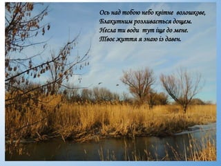 Ось над тобою небо квітне волошкове,
Блакитним розливається дощем.
Несла ти води тут іще до мене.
Твоє життя я знаю із давен.
 