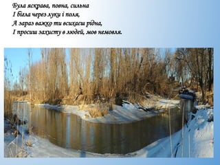 Була яскрава, повна, сильна
І бігла через луки і поля,
А зараз важко ти всихаєш рідна,
І просиш захисту в людей, мов немовля.
 