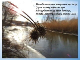 До тебе тягнеться навколо все, що диха,
Схиля голівки навіть неживе.
Ти ж рідна ненька нашої домівки ,
Із тебе Сватове розпочало життя своє!
 