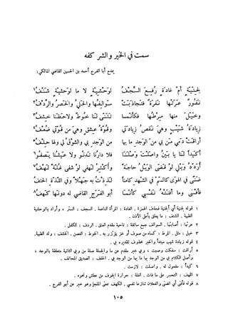 ديوان المتنبي الموثق