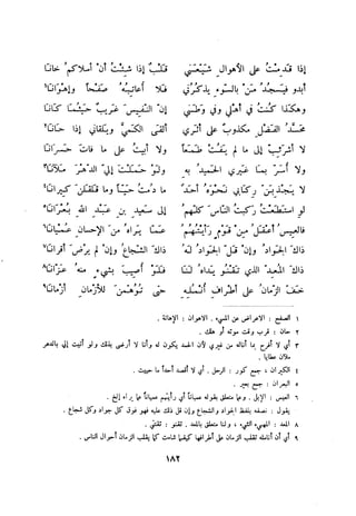 ديوان المتنبي الموثق