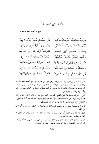 ديوان المتنبي الموثق