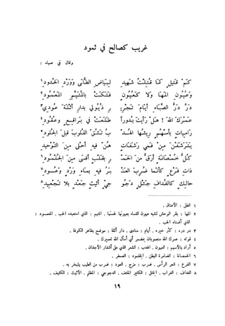 ديوان المتنبي الموثق