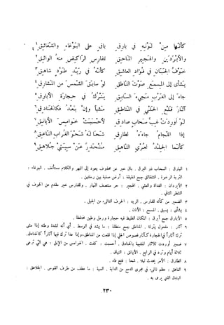 ديوان المتنبي الموثق