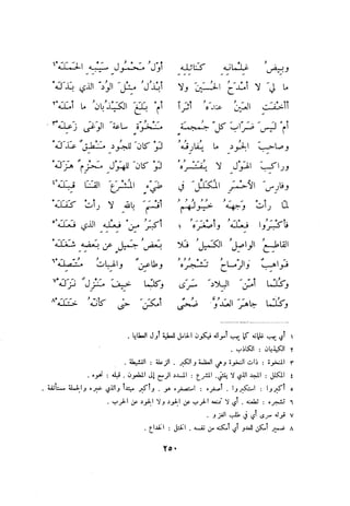 ديوان المتنبي الموثق