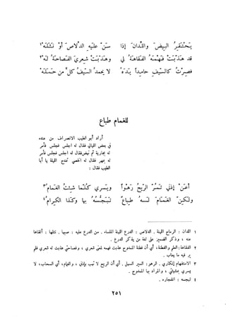 ديوان المتنبي الموثق