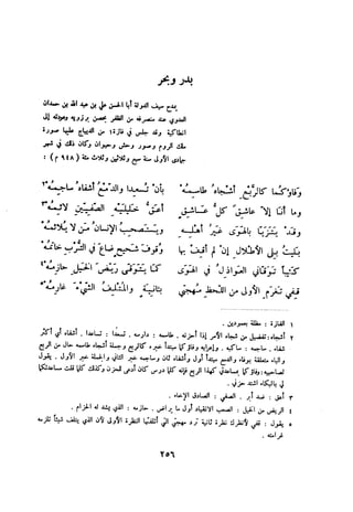 ديوان المتنبي الموثق