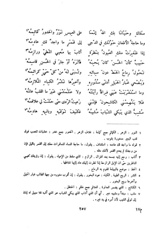 ديوان المتنبي الموثق