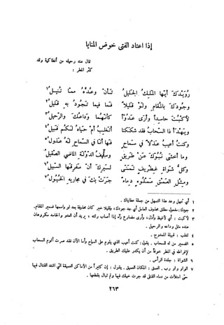 ديوان المتنبي الموثق