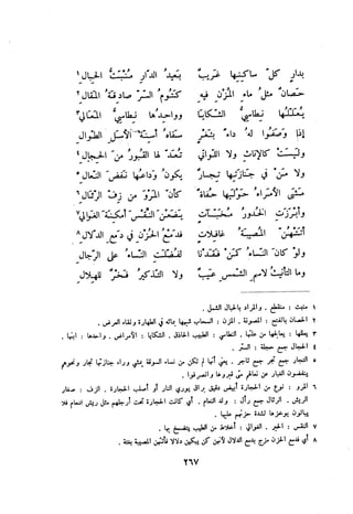 ديوان المتنبي الموثق