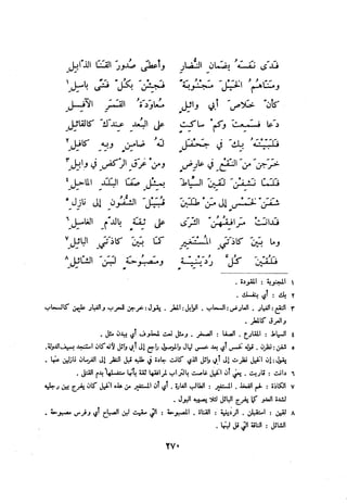 ديوان المتنبي الموثق