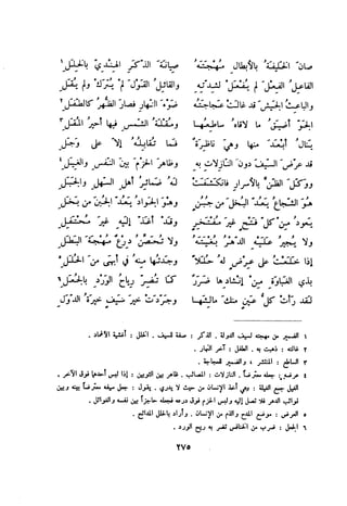 ديوان المتنبي الموثق