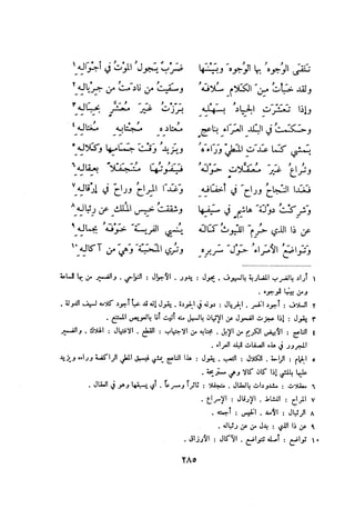 ديوان المتنبي الموثق