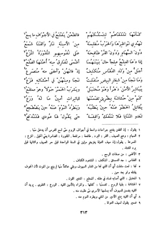 ديوان المتنبي الموثق