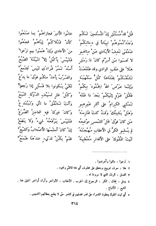 ديوان المتنبي الموثق