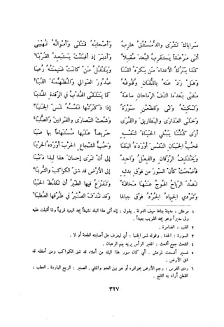 ديوان المتنبي الموثق