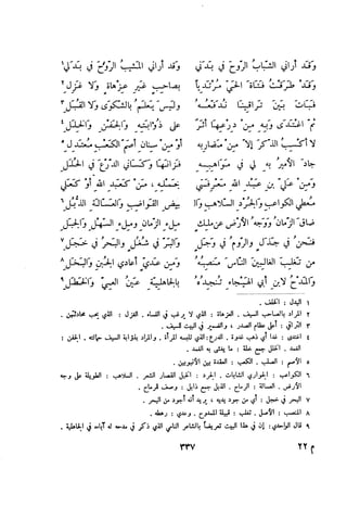 ديوان المتنبي الموثق