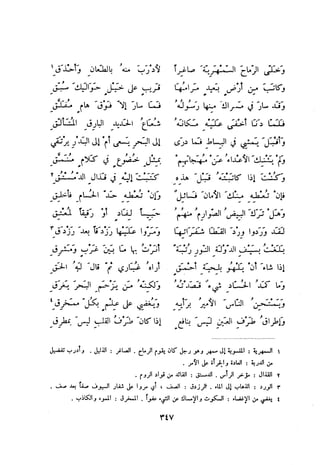 ديوان المتنبي الموثق