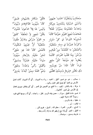 ديوان المتنبي الموثق