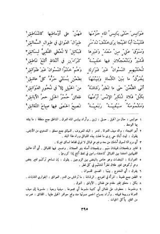 ديوان المتنبي الموثق