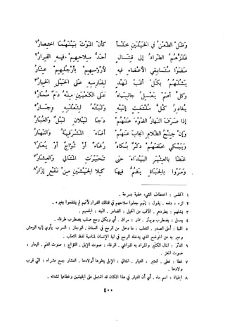 ديوان المتنبي الموثق