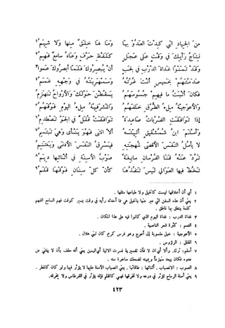 ديوان المتنبي الموثق