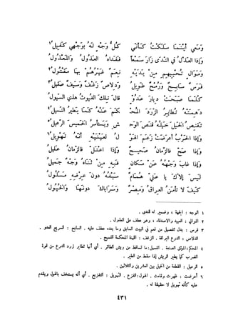 ديوان المتنبي الموثق