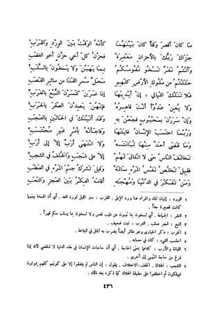 ديوان المتنبي الموثق