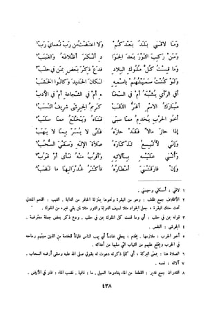 ديوان المتنبي الموثق