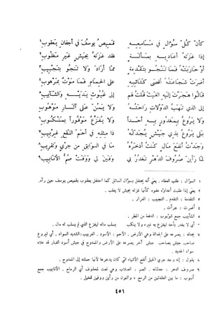 ديوان المتنبي الموثق