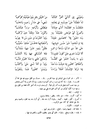 ديوان المتنبي الموثق