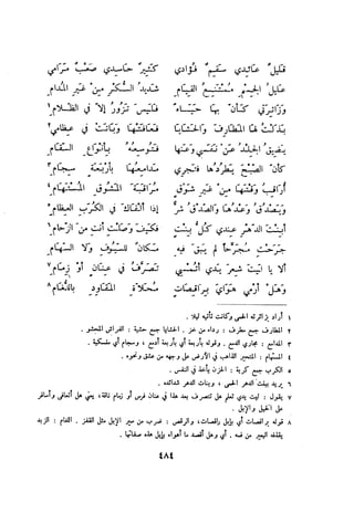 ديوان المتنبي الموثق