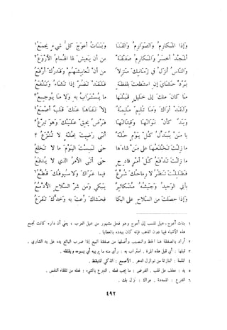 ديوان المتنبي الموثق