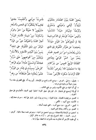 ديوان المتنبي الموثق