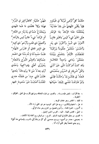 ديوان المتنبي الموثق