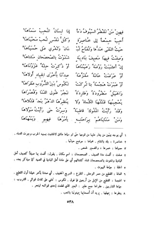 ديوان المتنبي الموثق