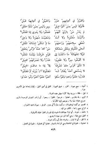 ديوان المتنبي الموثق