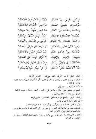 ديوان المتنبي الموثق