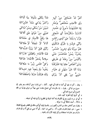 ديوان المتنبي الموثق