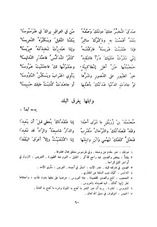 ديوان المتنبي الموثق