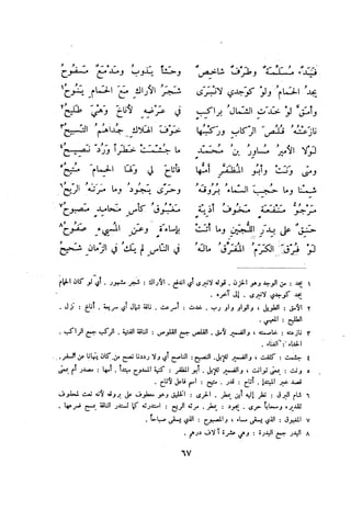 ديوان المتنبي الموثق